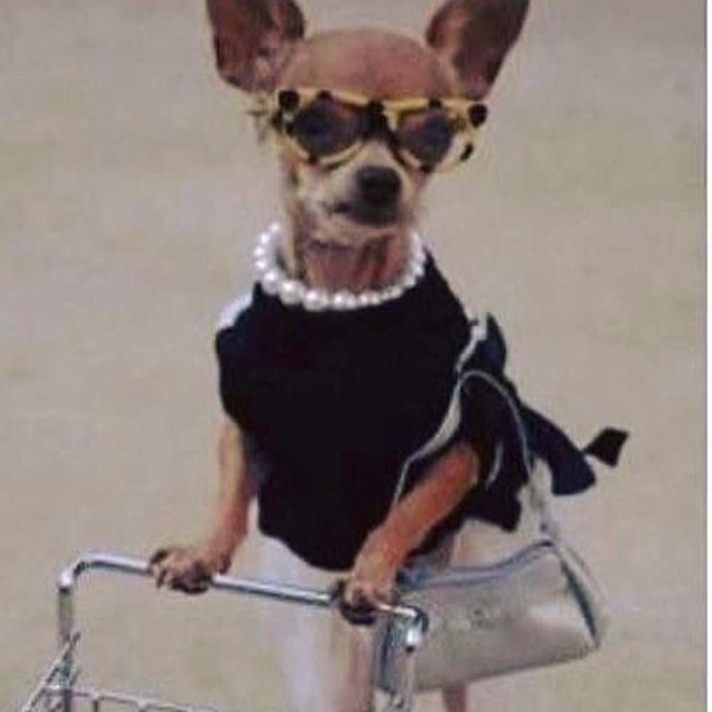 Meet your Posher, Ana